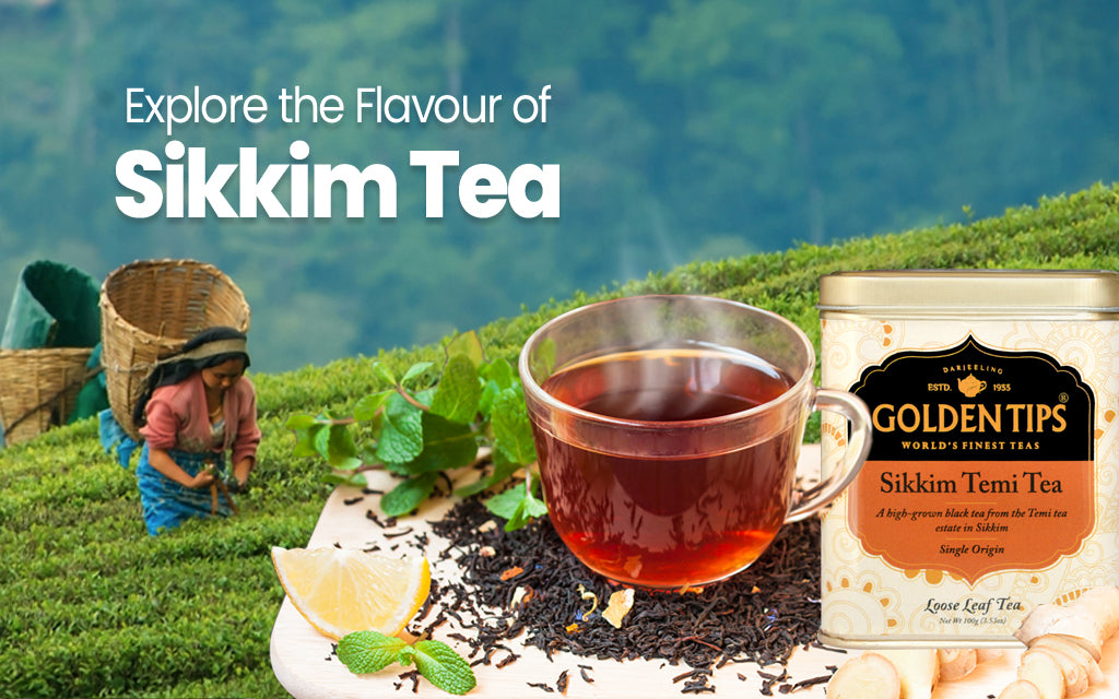 What You Should Know About Temi Sikkim Tea – Golden Tips