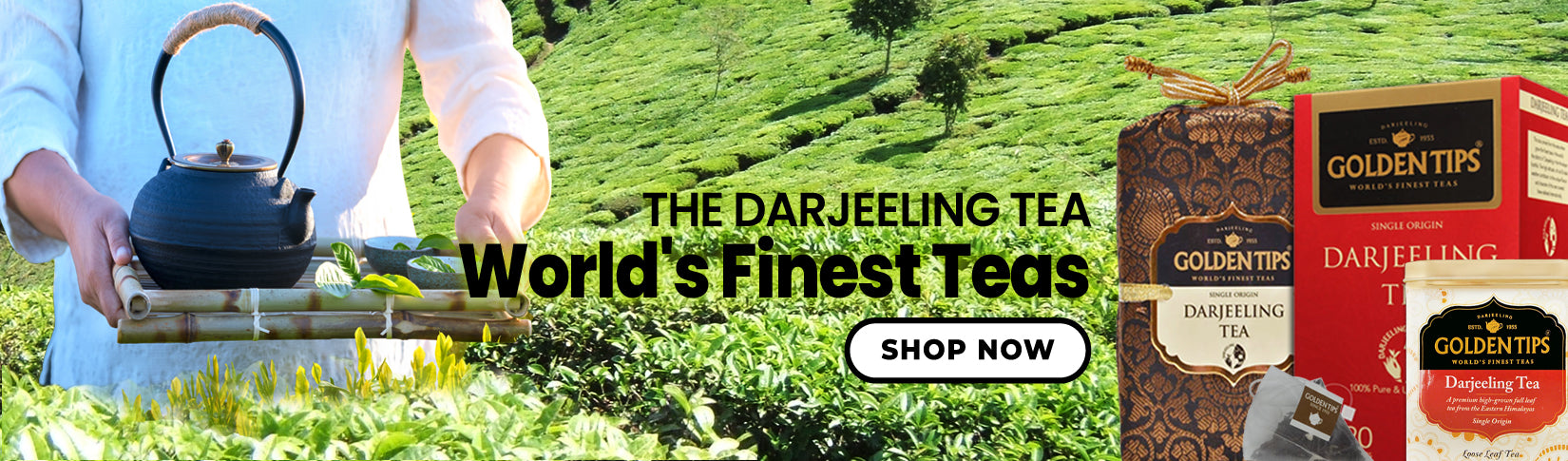 Darjeeling Teas