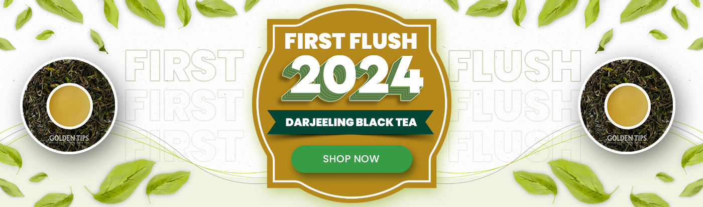 First Flush 2024