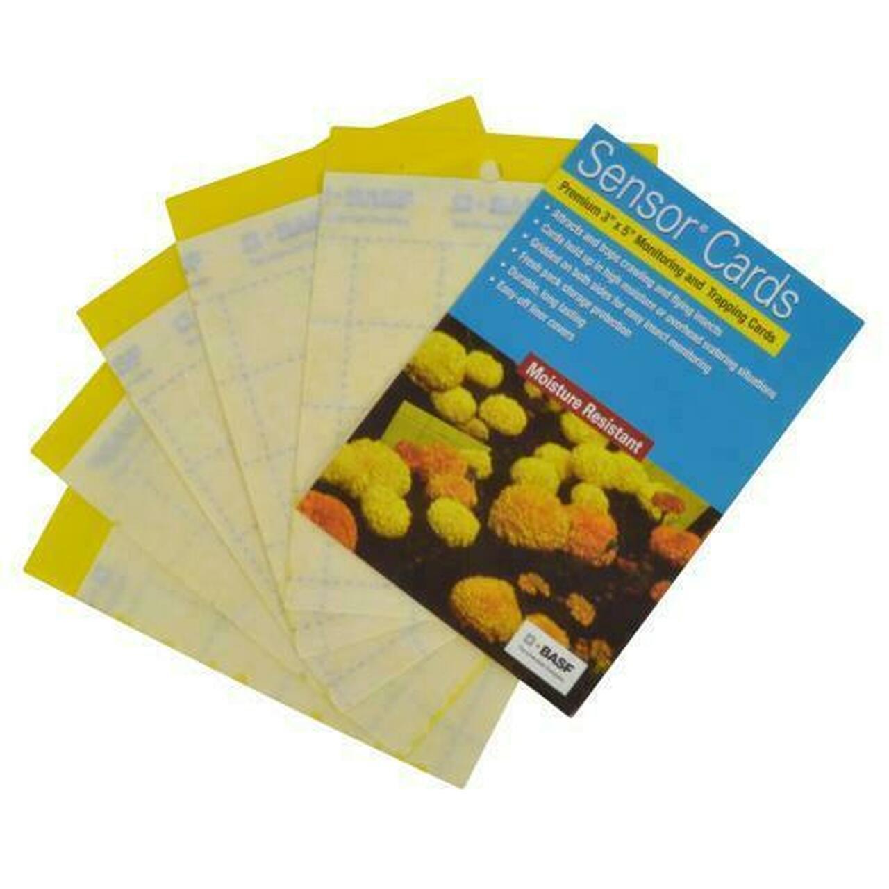 https://cdn.shopify.com/s/files/1/2485/1572/products/basf-sensor-yellow-monitoring-and-trapping-cards-50-cards-973400.jpg?v=1694540572&width=1280