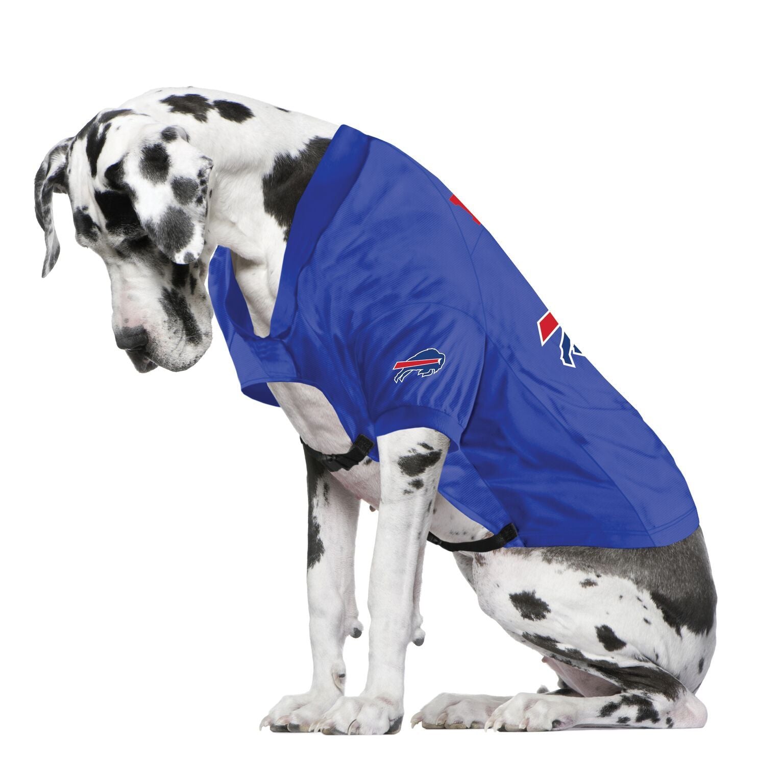 dog bills jersey