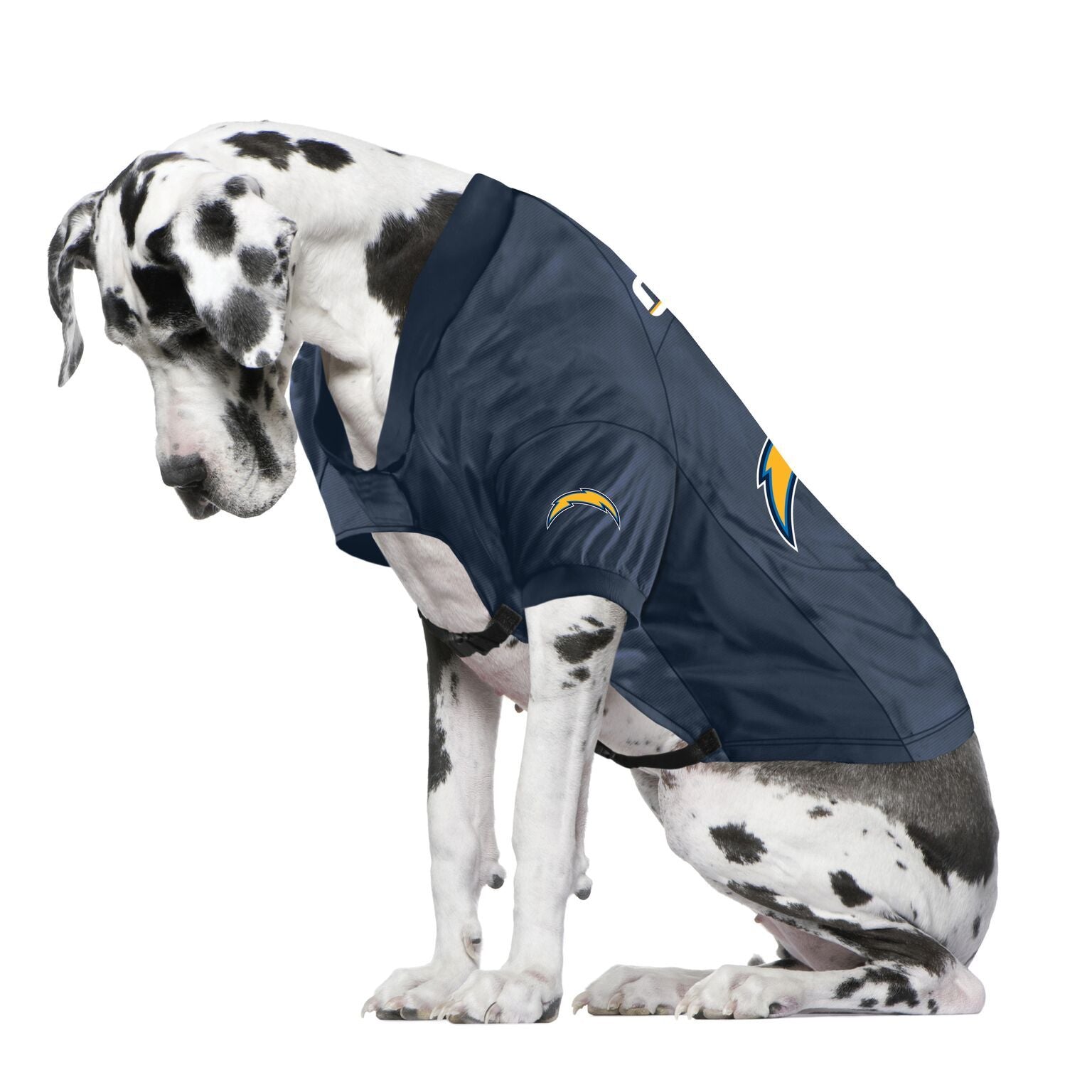 chargers dog jersey