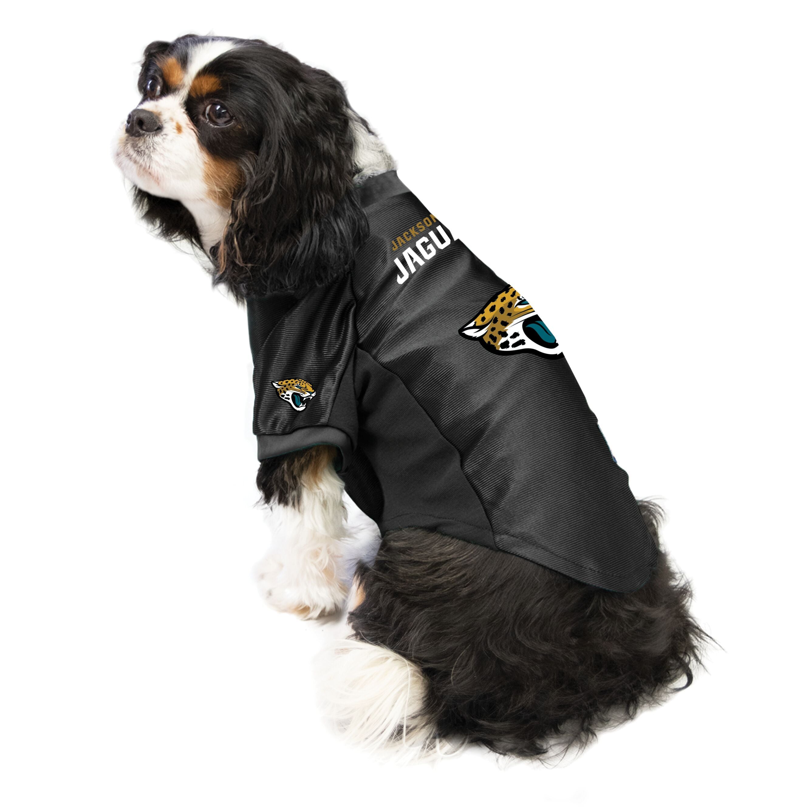 jacksonville jaguars dog jersey