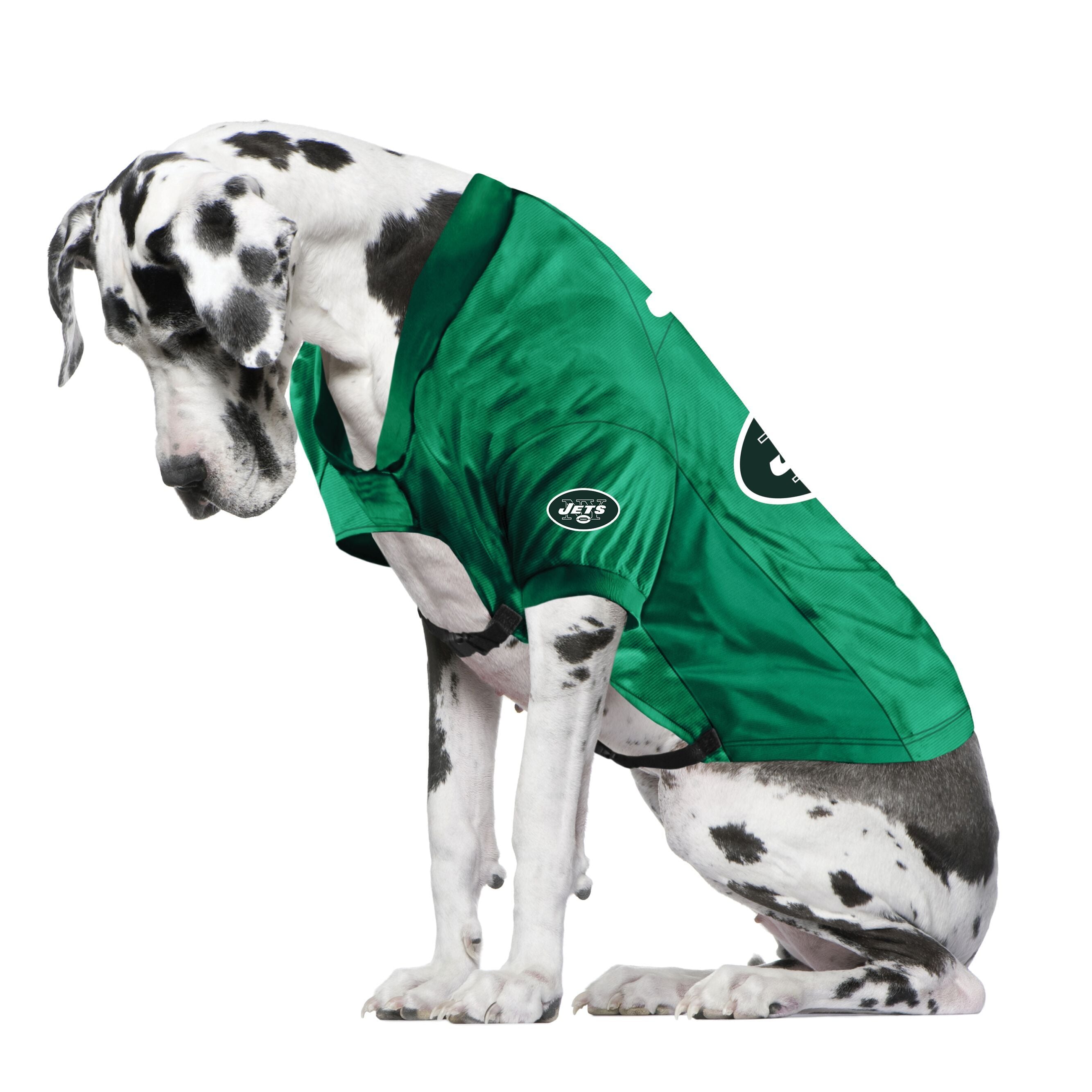 jets dog jersey