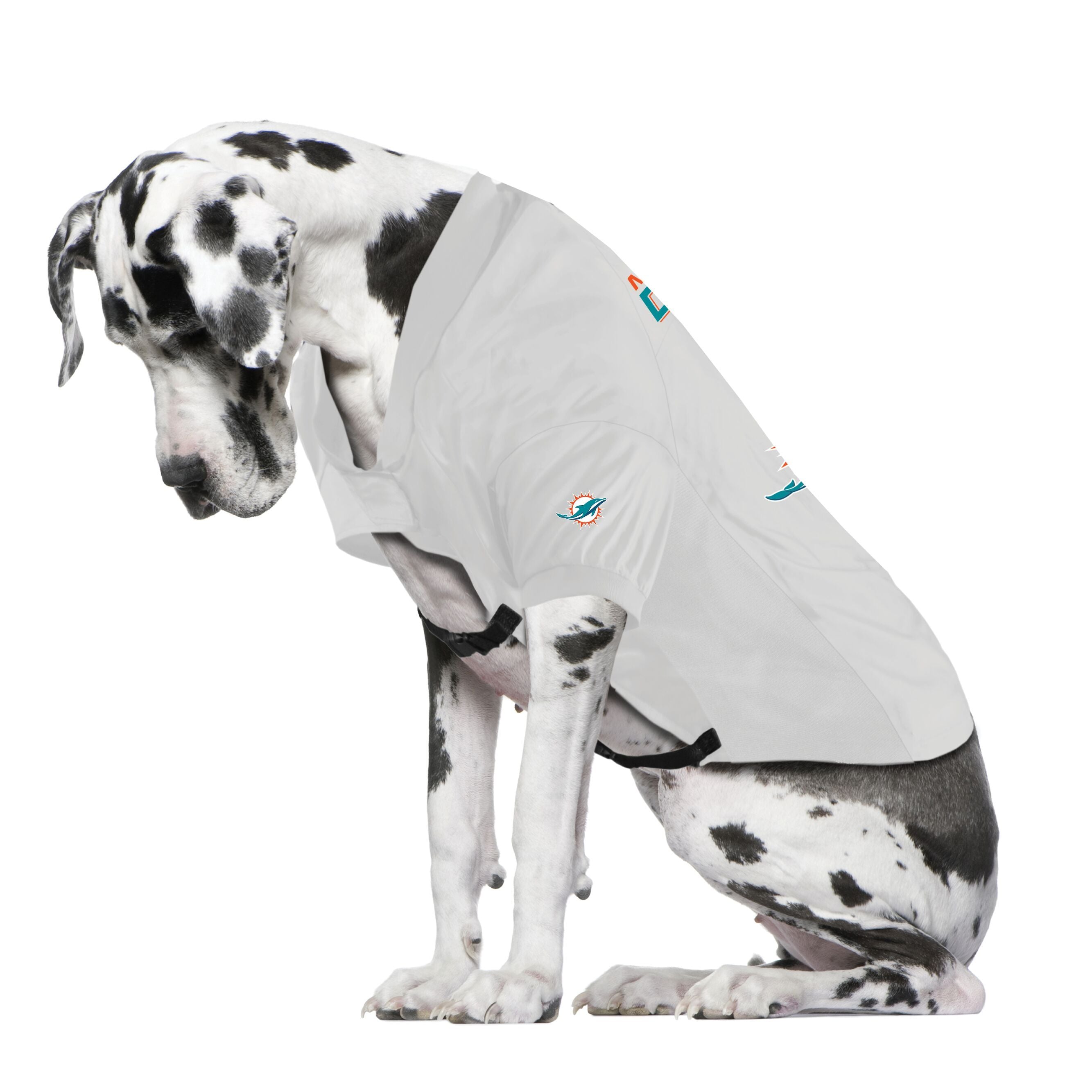 miami dolphins dog jersey