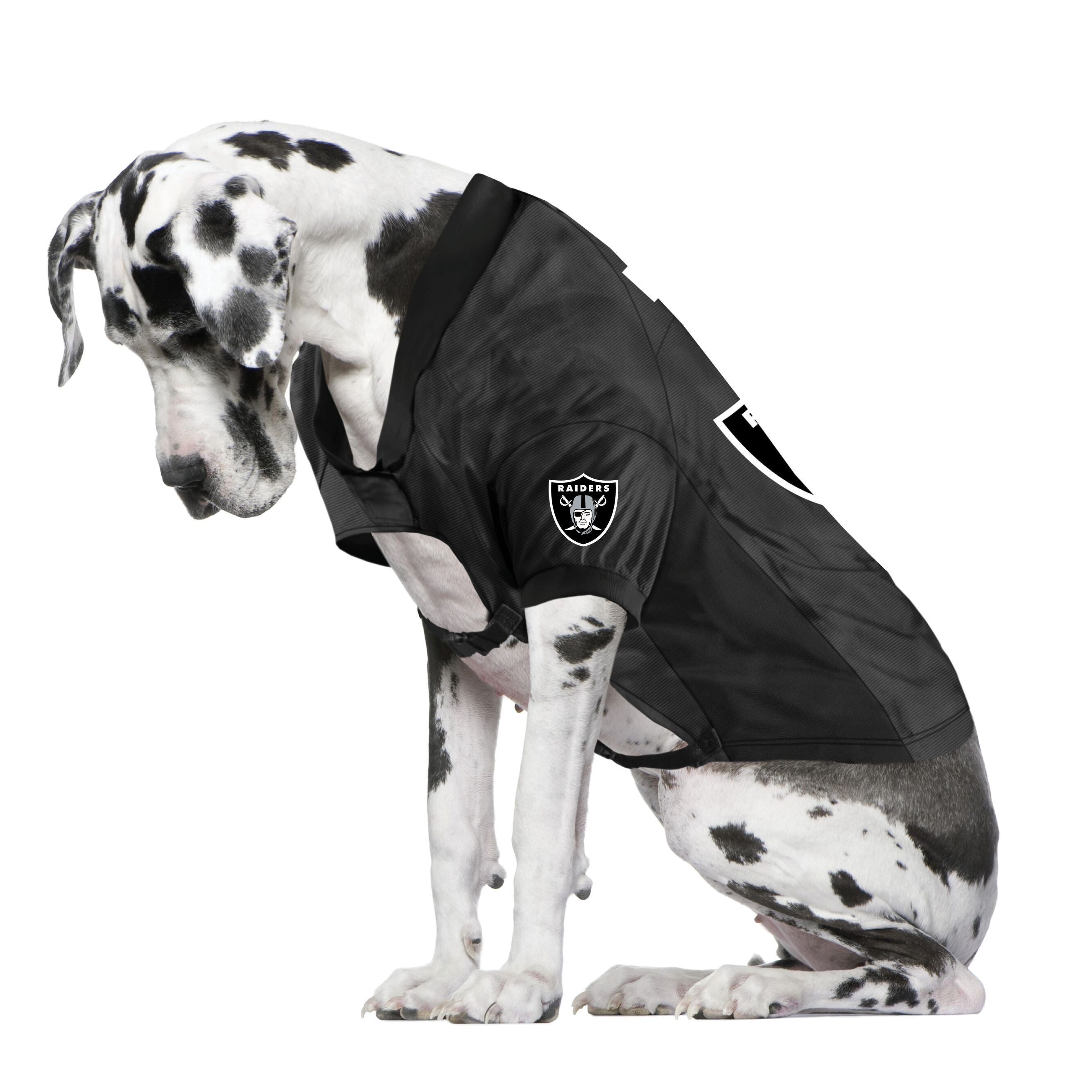 raiders jersey for dogs