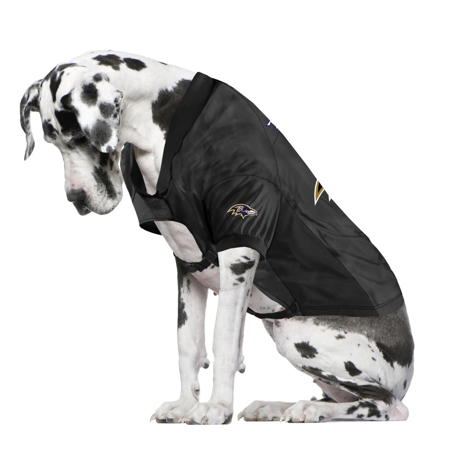 ravens dog jersey