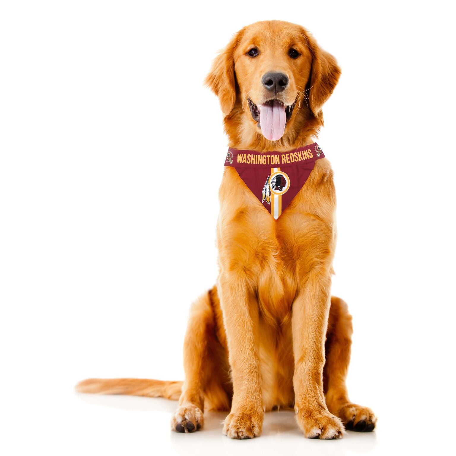 redskins dog bandana