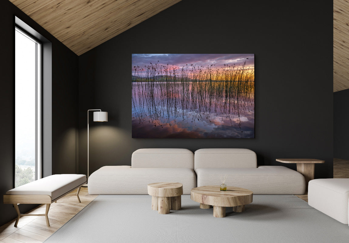 Gentle Impression in Home