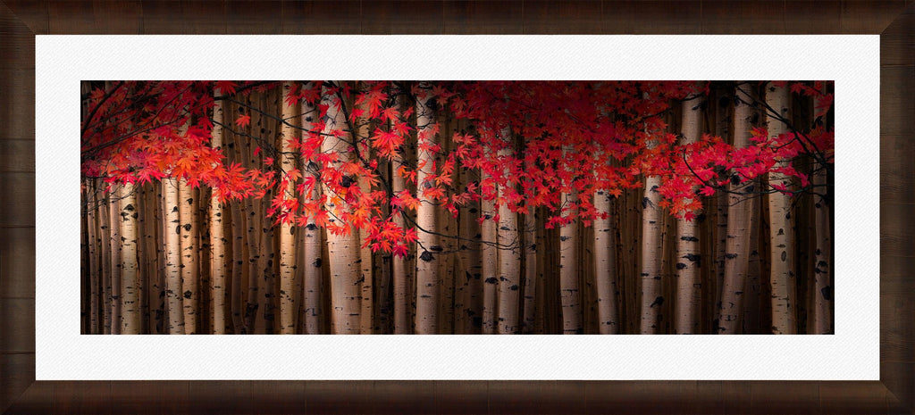 Autumn Serenade - Fine Art Photograph by Peter Lik