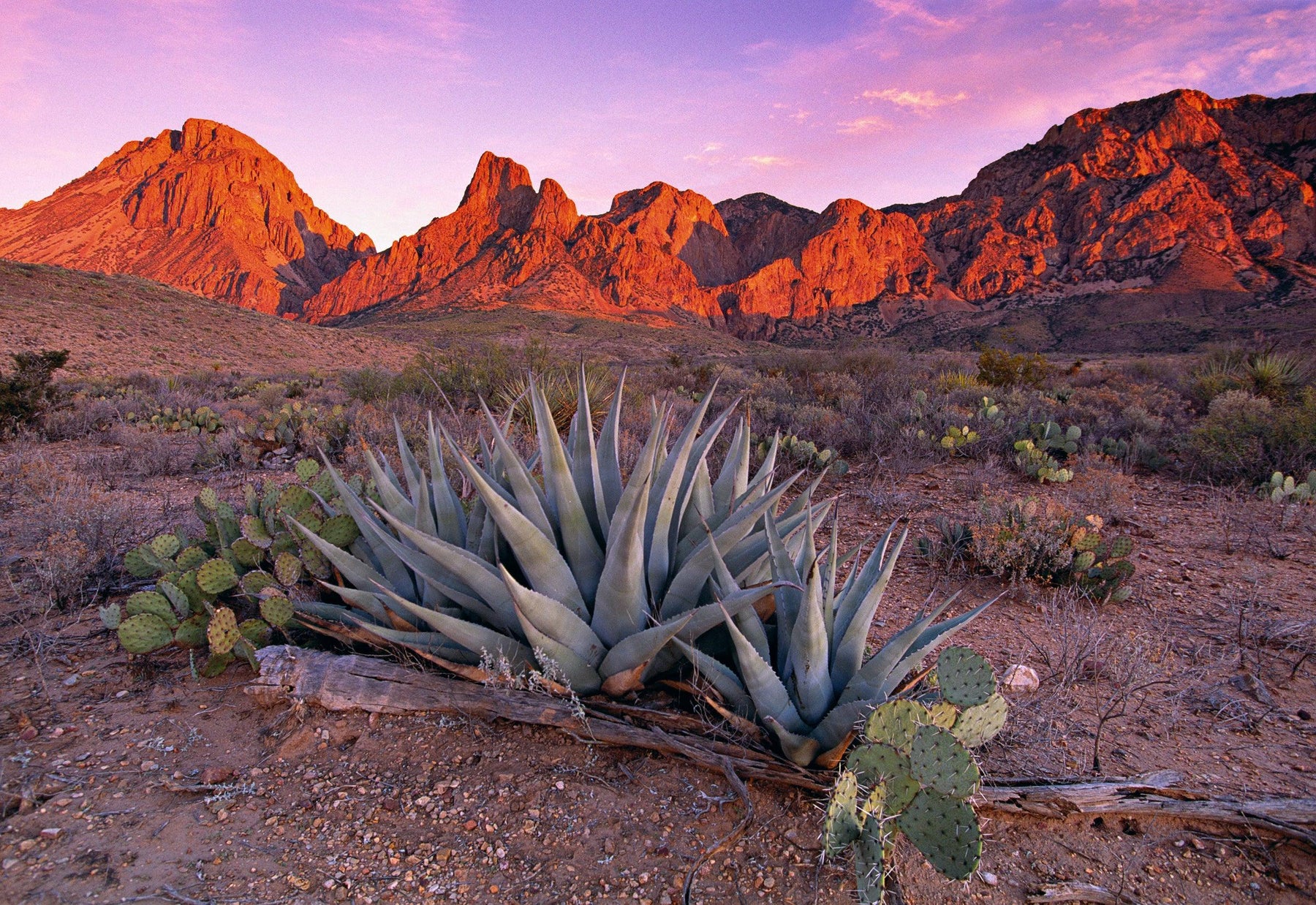 Texas Summer. A Limited Edition Fine Art Photograph by Peter Lik. LIK