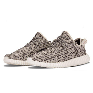 Yeezy V1 350 Turtle Dove AQ4832 