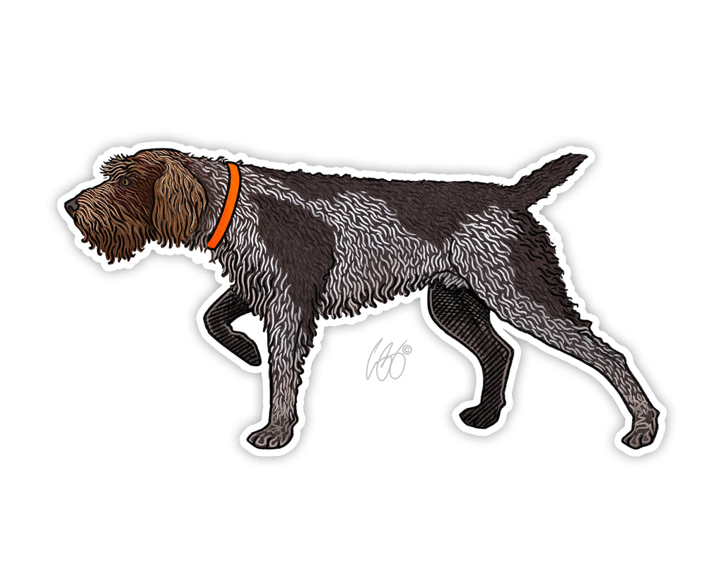 Wirehaired Pointing Griffon Decal– Casey Underwood Artwork & Design