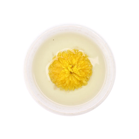 Chrysanthemum Floral Tea