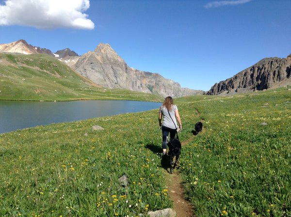 A woman and her two dogs hiking on a trail in southwestern Colorado