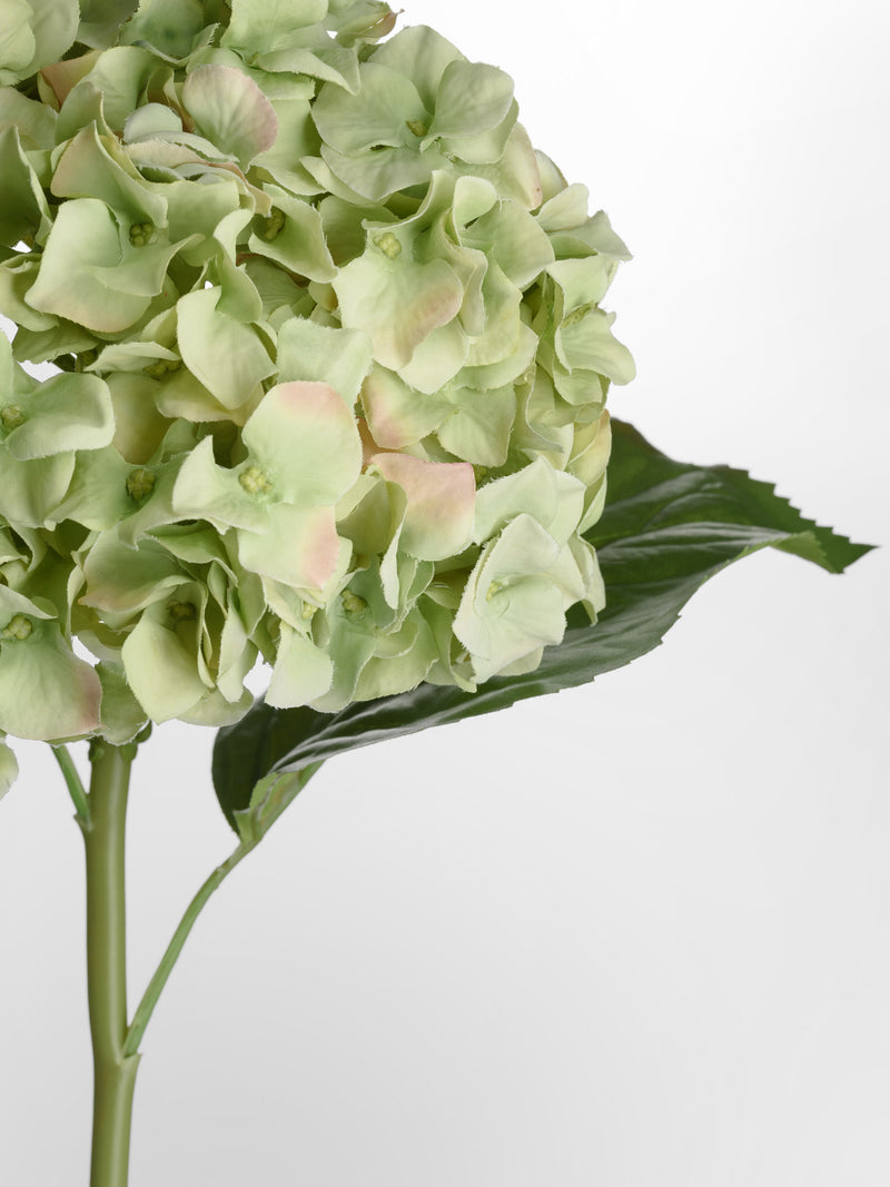 Faux Green Hydrangea Stem Hudson Home