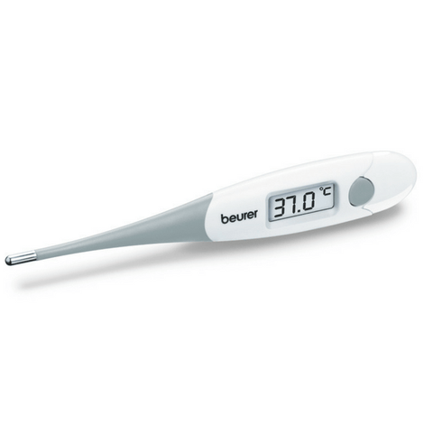 Ft 15/1 Instant Thermometer