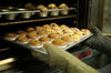 Apfel-Marzipan Cupcakes mit Zimtsahne