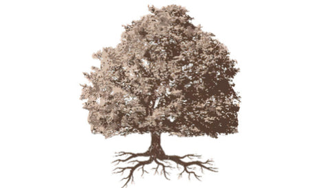 The Grey Tree Homestead Logo