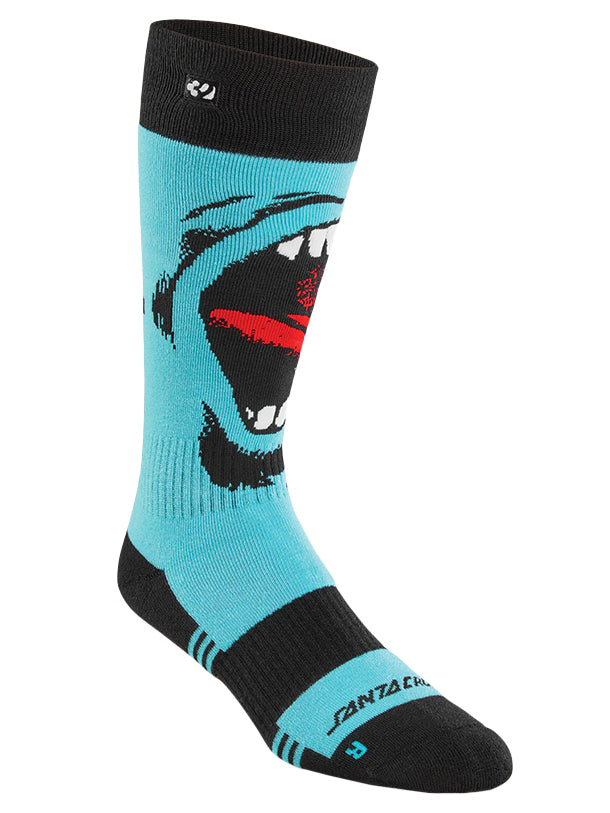 Men's Santa Cruz Socks '24