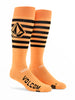 Kootney Socks '24