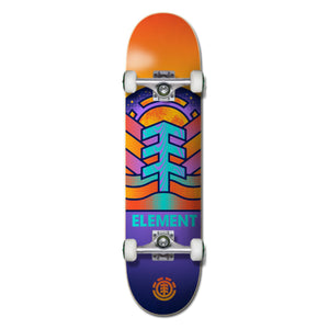 Adonis 7.75" Complete Skateboard