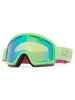 Cleaver Snow Goggles '24