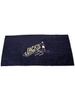 Bobber Beach Towel