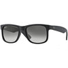 RB4165 Justin Classic Sunglasses