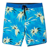 Hyperfreak Expression 19" Boardshorts