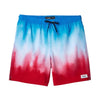 Mashup Volley 17" Boardshorts