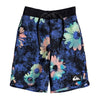 Boys (2T-7X) Highline Sprayed Daisy 14" Boardshorts