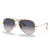 RB3025 Aviator Sunglasses