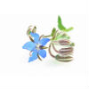 Borage Seed Oil (Organic)