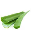 Aloe Leaf Juice (Organic)