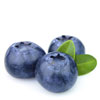 Blueberry Seed Oil (Organic) 