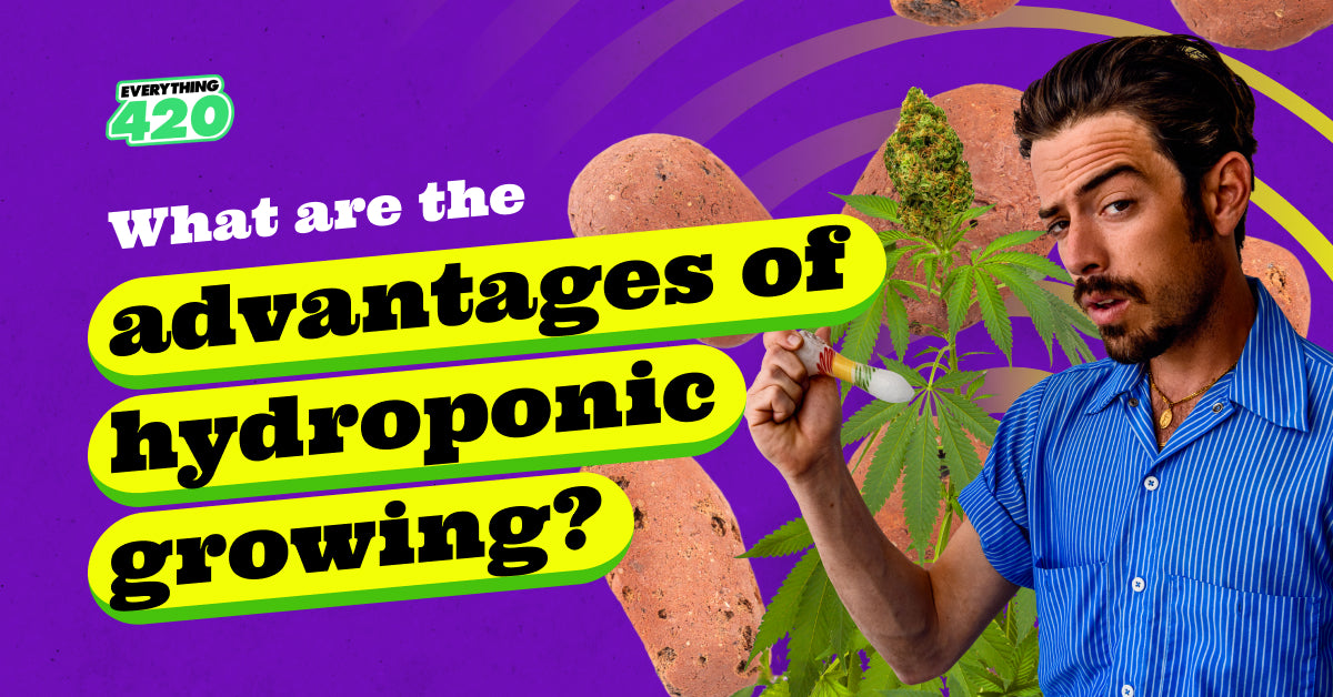 What are the advantages of hydroponic growing?