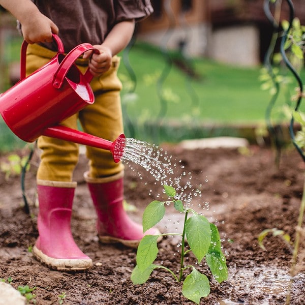 watering garden