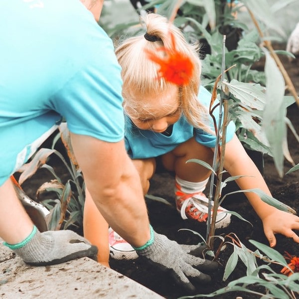 Child planting green plant