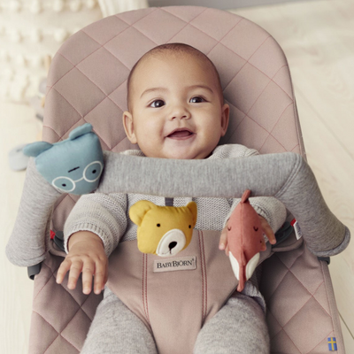 babybjorn bouncer soft toy