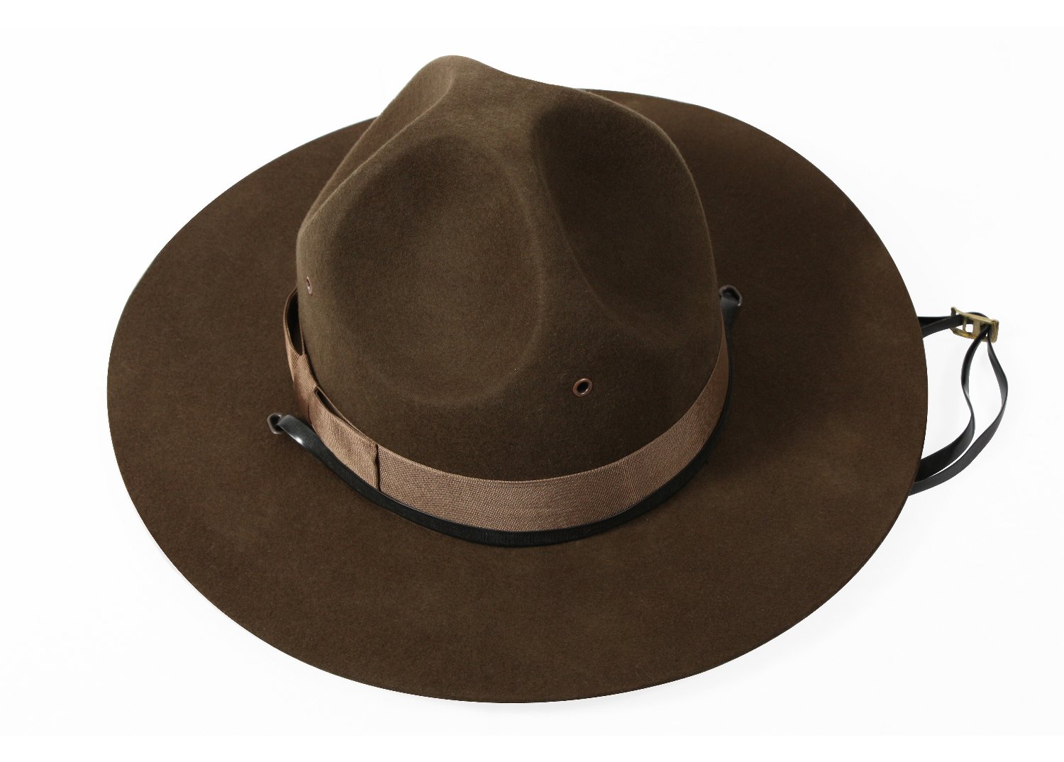 the campaign hat