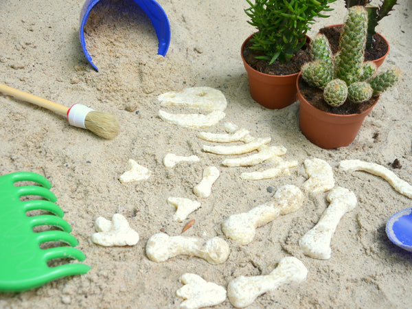 Dino Ausgrabung T-Rex Skelett aus Salzteig