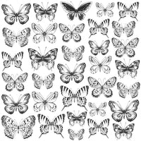 Kaisercraft Ramontique Collection - Butterflies
