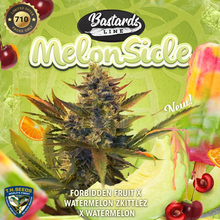 T.H. Seeds - MelonSicle – The JuicyJoint