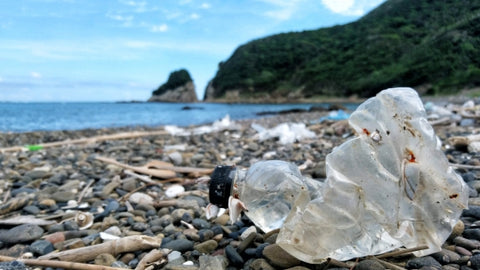 プラスチックによって汚染された海