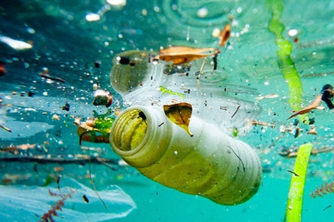 海を汚染するプラスチックごみ