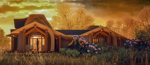 digital rendering of a futur home, with organic shapes in natural setting