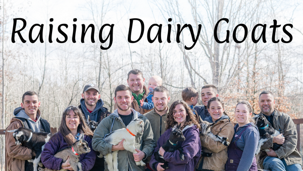 Raising Dairy Goats Course from Goat Milk Stuff and GMS Goats