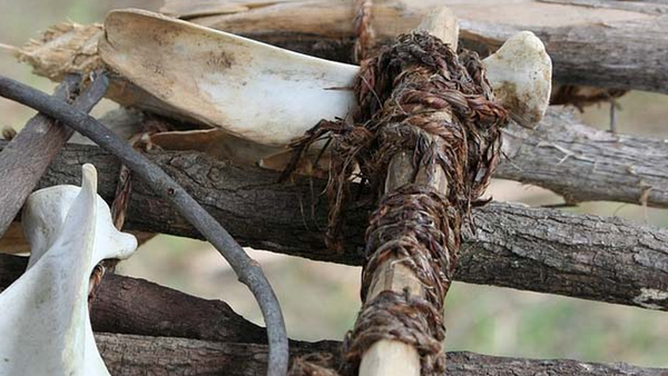 bushcraft materials, tools and sticks.