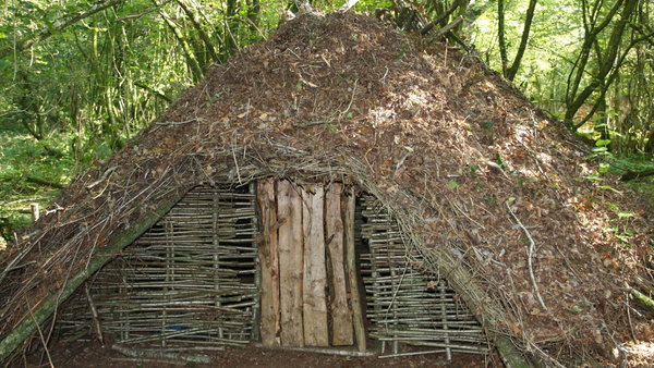 bushcraft thatch roof hut